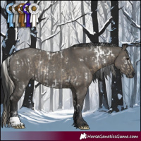 Horse Color:White Spotted Silver Smoky Grullo Rabicano and Grullo Rabicano