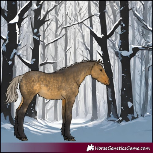 Horse Color:Silver Buckskin Dun Rabicano 
