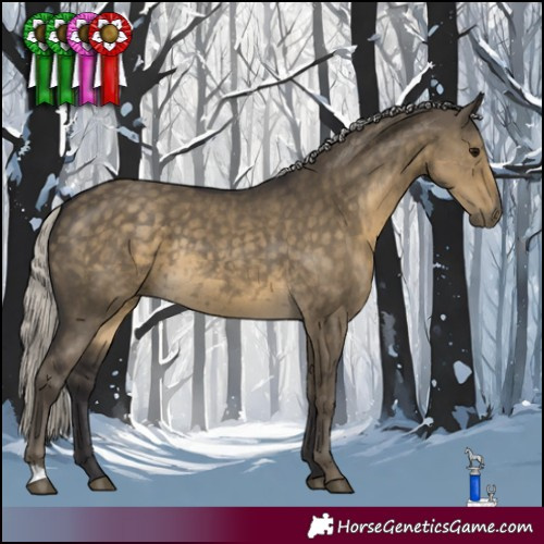 Horse Color:Silver Smoky Grullo Rabicano 