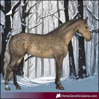 Horse Color:Silver Smoky Grullo Rabicano 