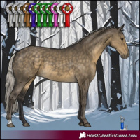 Horse Color:Silver Smoky Grullo Rabicano 