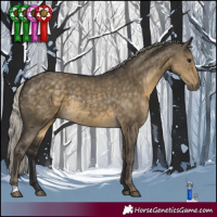 Horse Color:Silver Smoky Grullo Rabicano 