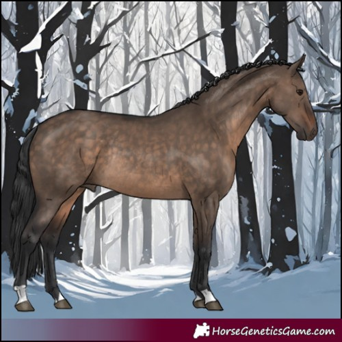 Horse Color:Brown Dun Rabicano 