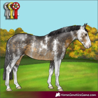 Horse Color:Buckskin Sabino Rabicano 