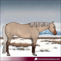 Horse Color:Silver Bay Dun Rabicano 