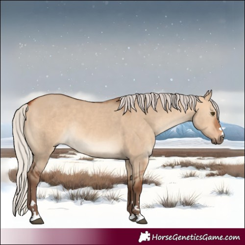 Horse Color:Silver Bay Dun Rabicano 