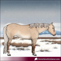 Horse Color:Silver Bay Dun Rabicano 