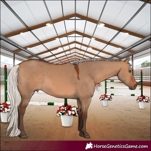 Horse Color:Silver Brown Dun 
