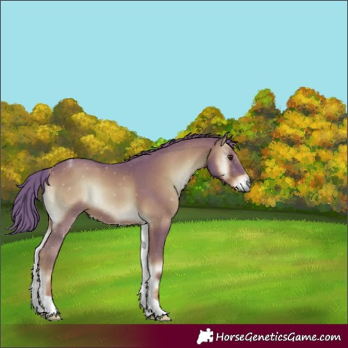 Horse Color:Watercolor Red Onyx