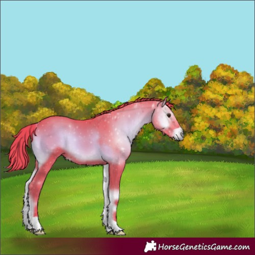 Horse Color:Watercolor Red Onyx 