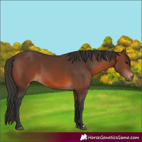 Horse Color:Brown 