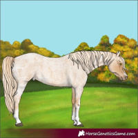Horse Color:Palomino Ice Roan Sabino 