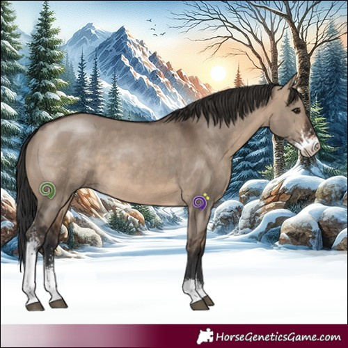 Horse Color:Brown Dun Sabino 