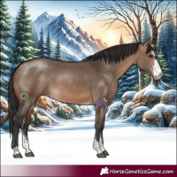 Horse Color:Bay Dun Sabino 