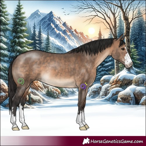 Horse Color:Brown Dun 