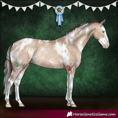 Horse Color:White Spotted Sable Champagne Dun Splash Rabicano 