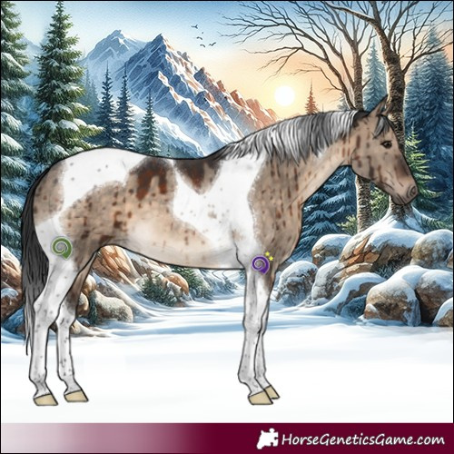 Horse Color:Brown Dun Tobiano Brindle 