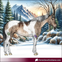 Horse Color:Brown Dun Tobiano Brindle 