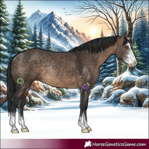 Horse Color:Brown Dun Sabino Rabicano