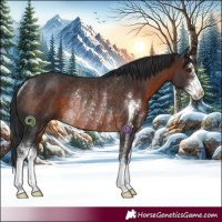 Horse Color:Brown Sabino Rabicano