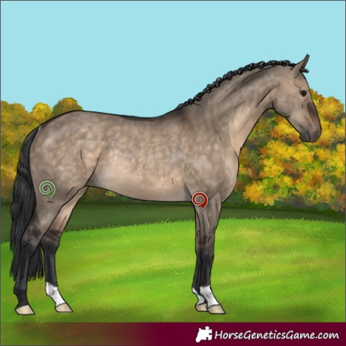 Horse Color:Brown Dun Rabicano 