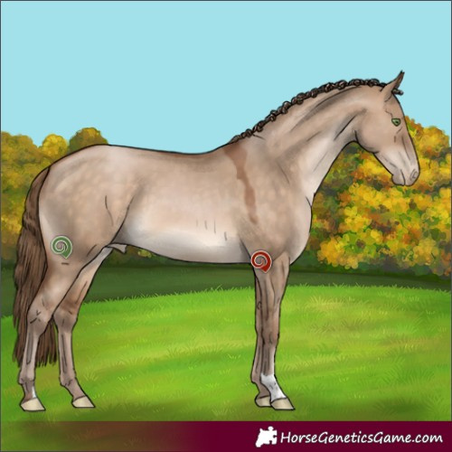 Horse Color:Brown Pearl Dun 
