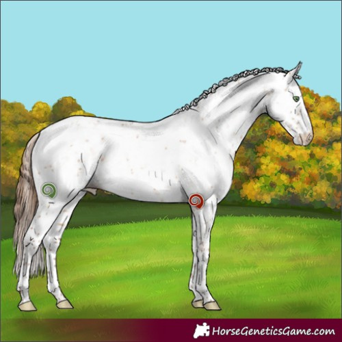 Horse Color:Brown Pearl Dun Sabino Rabicano 