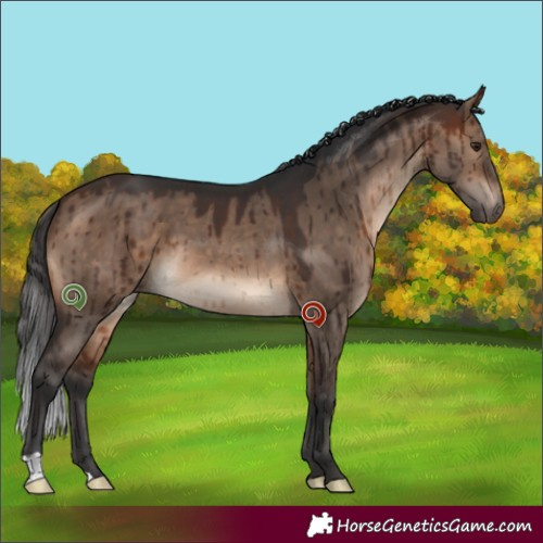 Horse Color:Brown Dun Brindle 