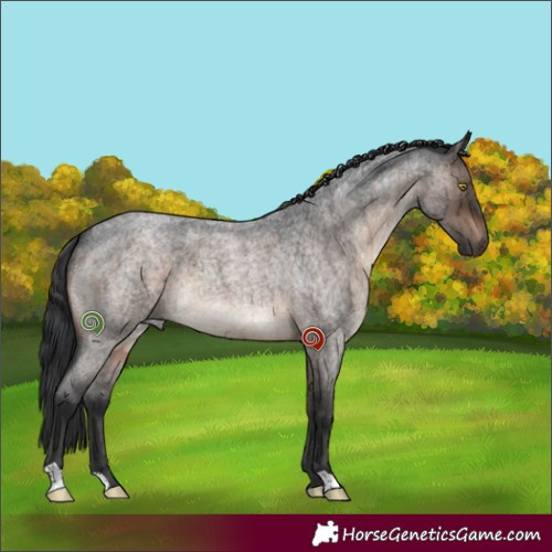 Horse Color:Brown Roan Dun Brindle 