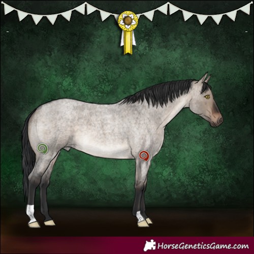 Horse Color:Brown Roan Dun 