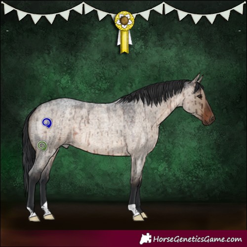 Horse Color:Brown Roan Dun Brindle 