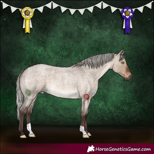 Horse Color:Silver Brown Roan Dun 