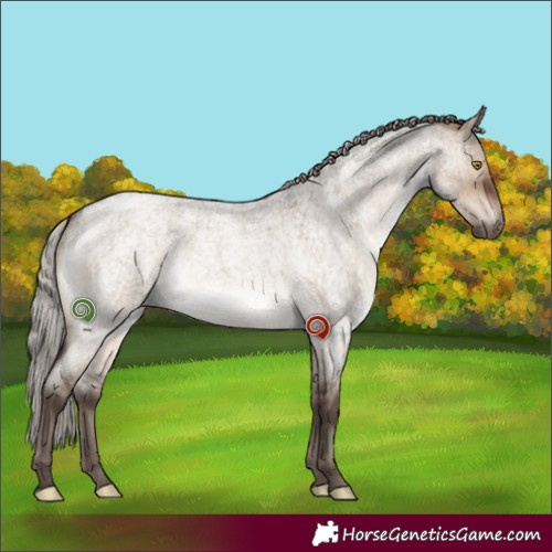 Horse Color:Silver Brown Roan Dun Brindle 