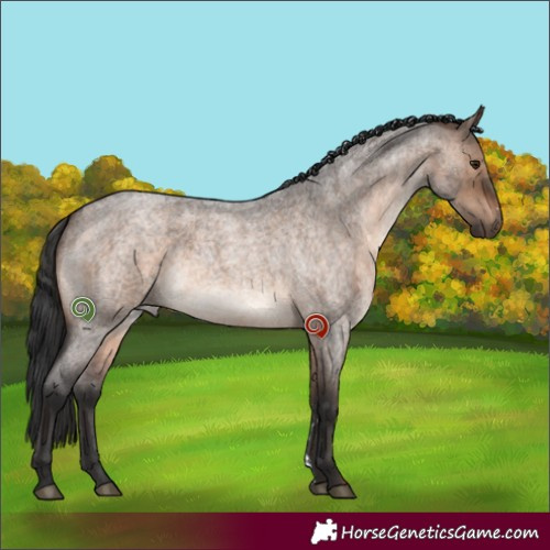 Horse Color:Brown Roan Dun Sabino Brindle 