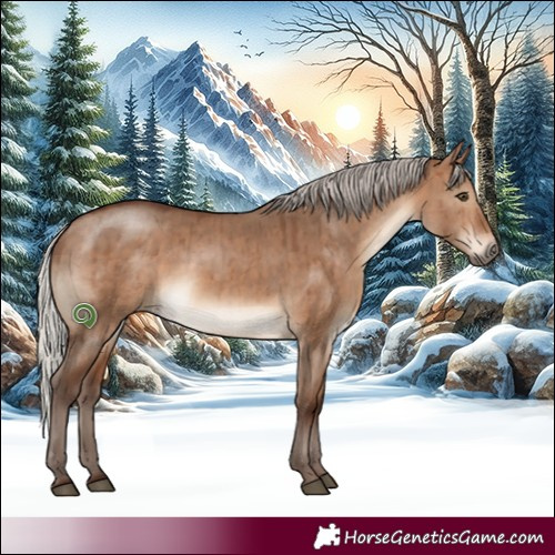 Horse Color:Silver Bay Dun Brindle