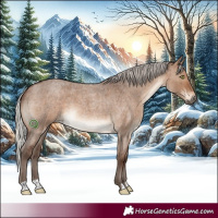 Horse Color:Silver Brown Roan Dun Brindle 