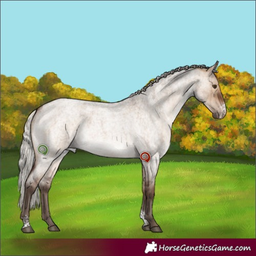 Horse Color:Silver Brown Roan Dun Sabino Brindle 