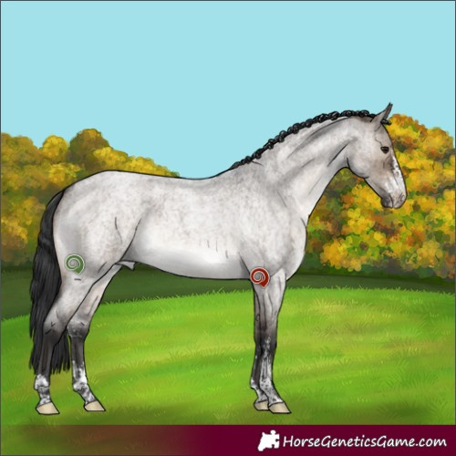 Horse Color:Brown Roan Dun Sabino Brindle 