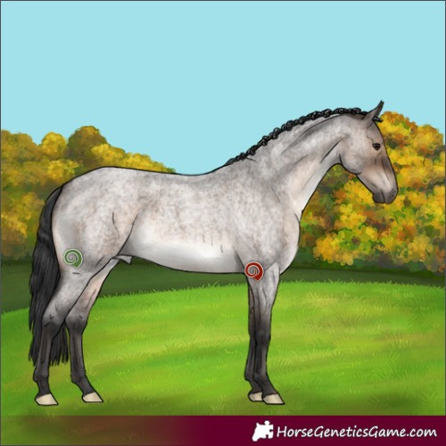 Horse Color:Brown Roan Dun Brindle 