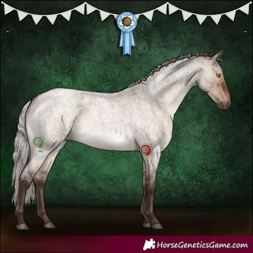 Horse Color:Silver Brown Roan Dun Brindle 