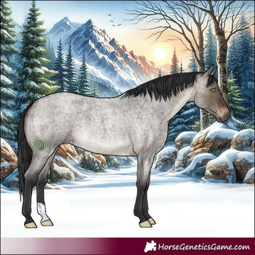 Horse Color:Brown Roan Dun 