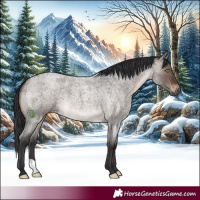 Horse Color:Brown Roan Dun 