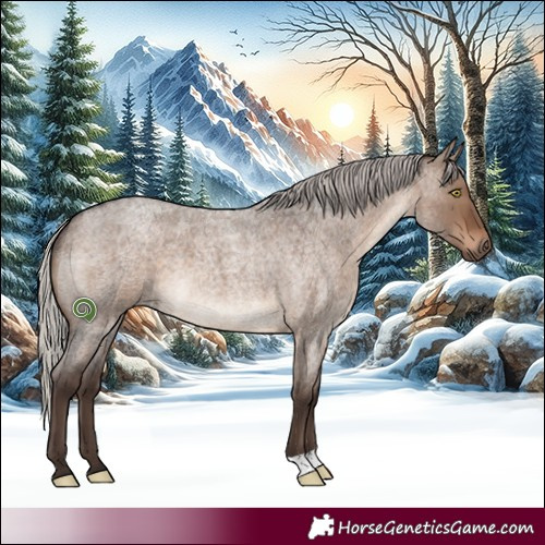 Horse Color:Silver Brown Roan Dun 
