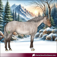 Horse Color:Silver Brown Roan Dun 