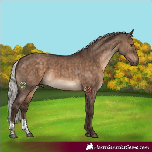 Horse Color:Silver Brown Dun Sabino Brindle 