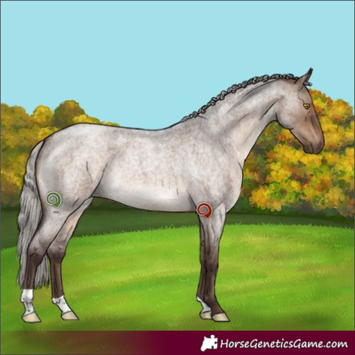 Horse Color:Silver Brown Roan Dun 