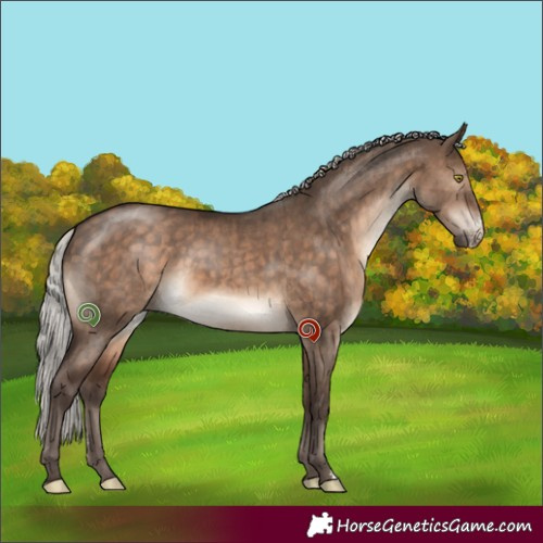 Horse Color:Silver Brown Dun Sabino Brindle 