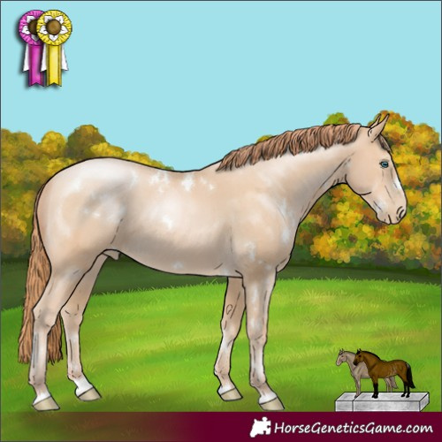 Horse Color:White Spotted Buckskin Pearl Rabicano 