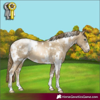 Horse Color:White Spotted Buckskin Pearl 