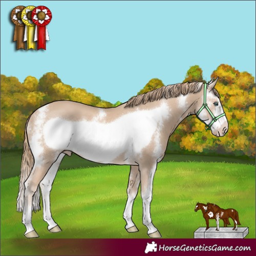 Horse Color:Smoky Creme Sabino Frame 
